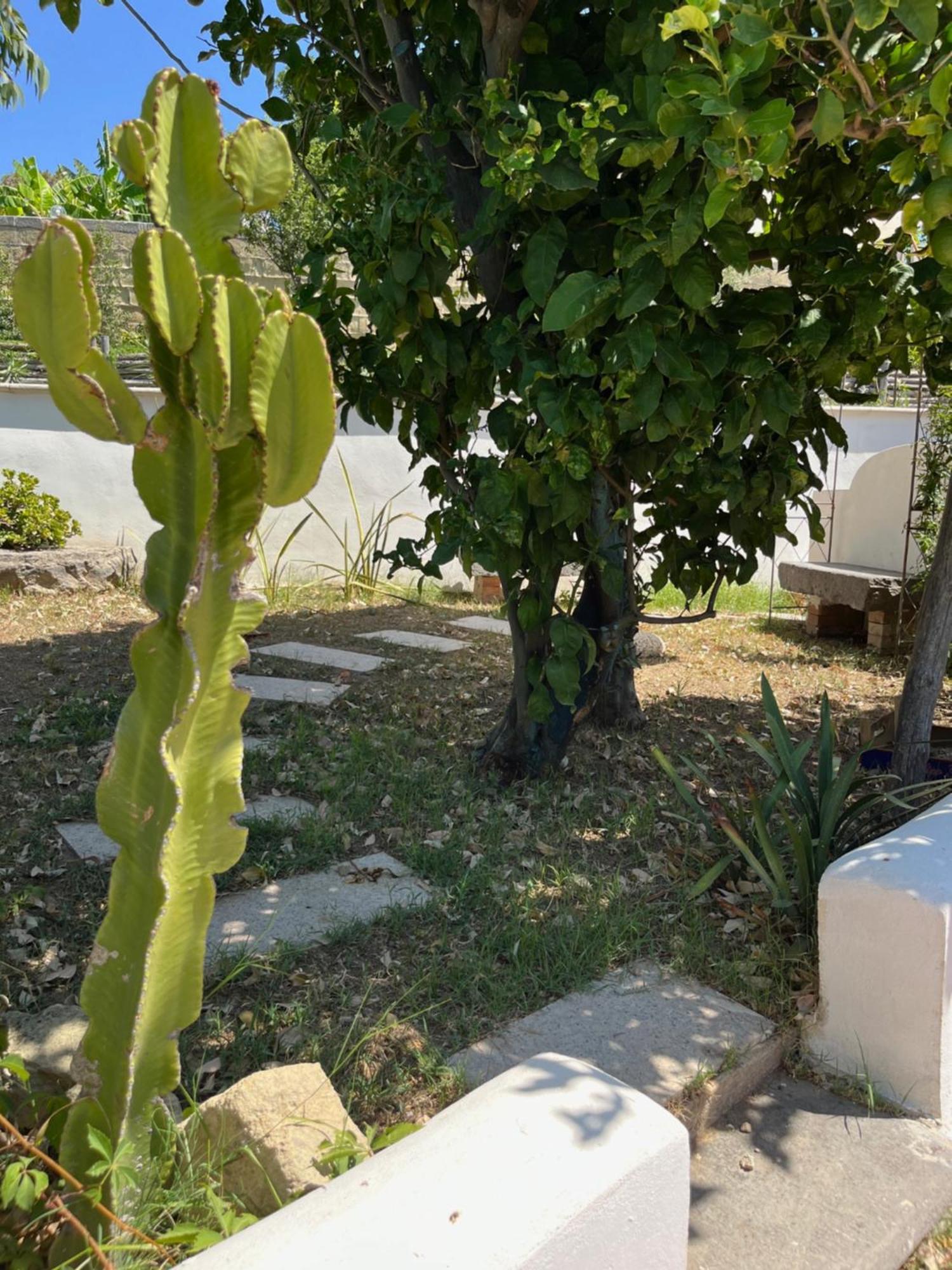 Villa Manni Procida Exteriér fotografie