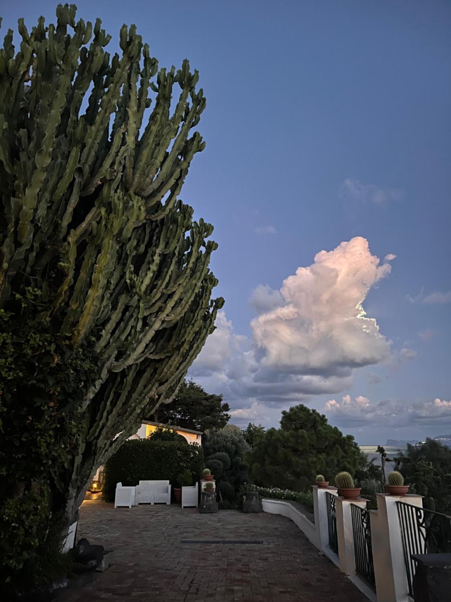 Villa Manni Procida Exteriér fotografie